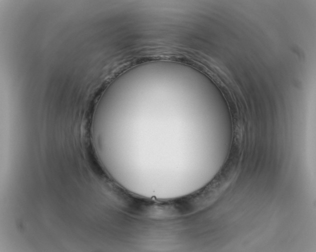 X0000113220270200909100929