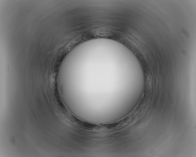 X0000113220271200909100929