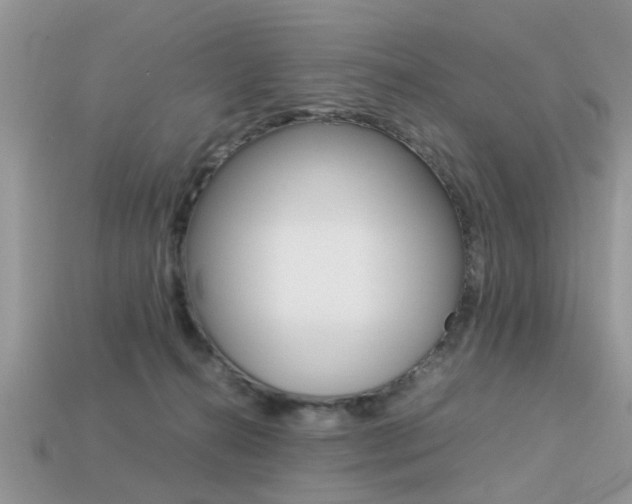 X0000113220272200909100929