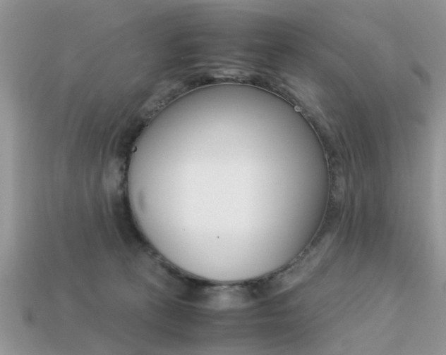 X0000113220273200909100929