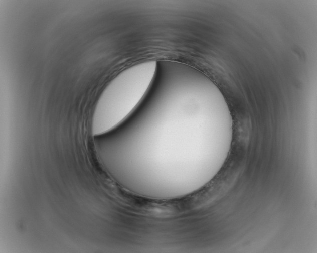 X0000113220275200909100929