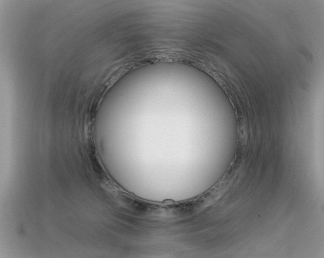 X0000113220276200909100929
