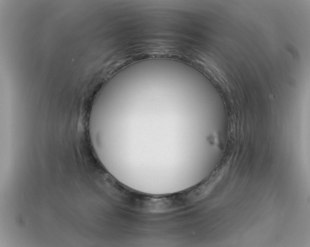 X0000113220277200909100929