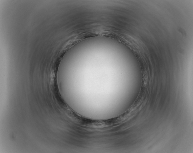 X0000113220279200909100929