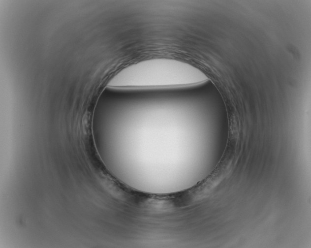 X0000113220280200909100929