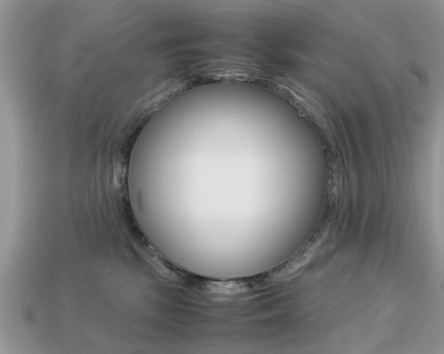X0000113220281200909100929