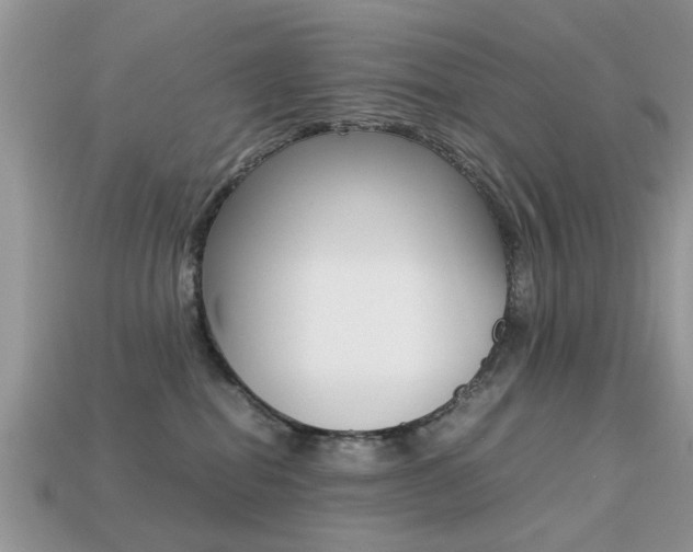 X0000113220282200909100929