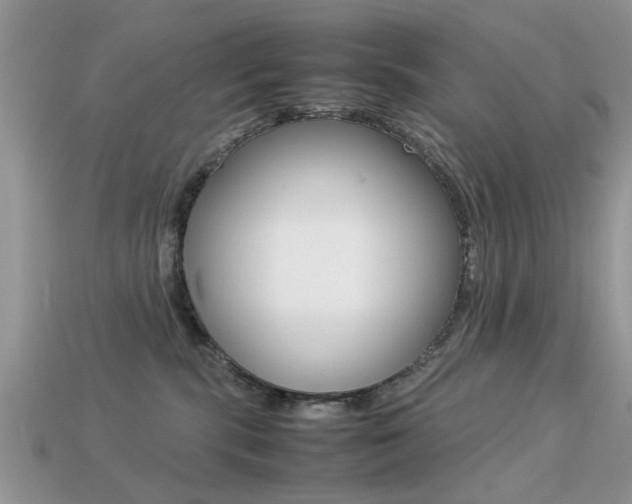 X0000113220283200909100929