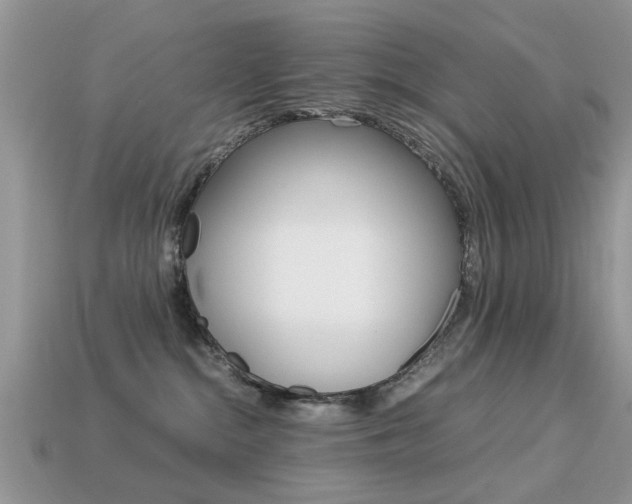 X0000113220284200909100929