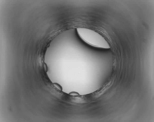 X0000113220285200909100929