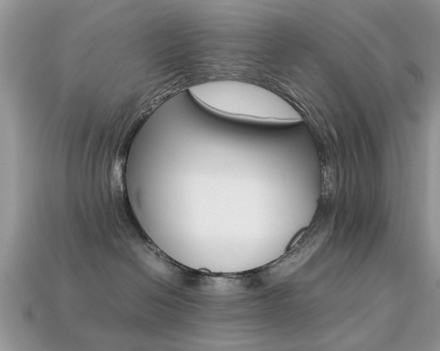 X0000113220286200909100929