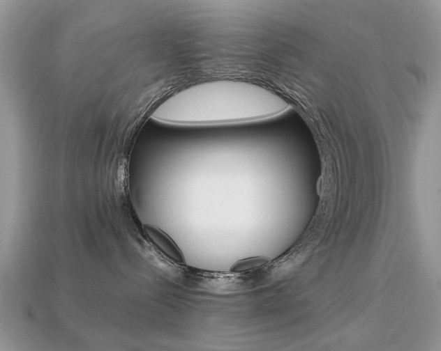 X0000113220288200909100929