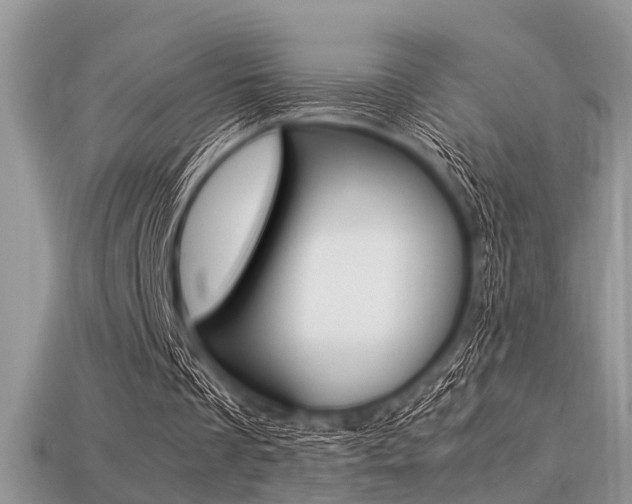 X0000113220289200909100928