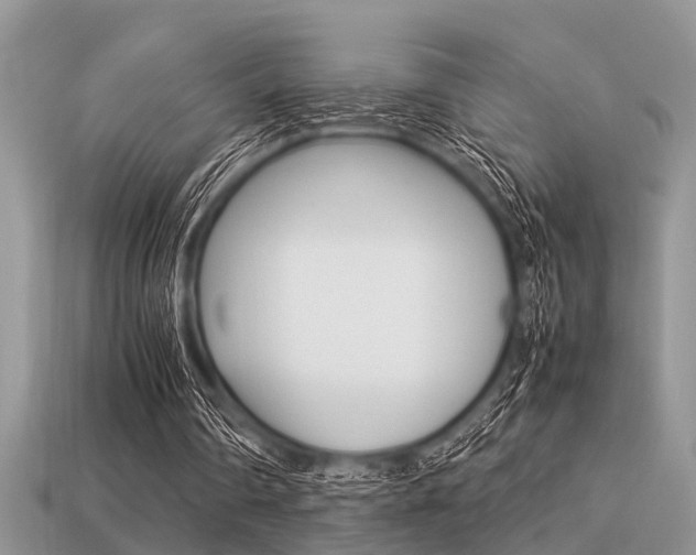 X0000113220290200909100928