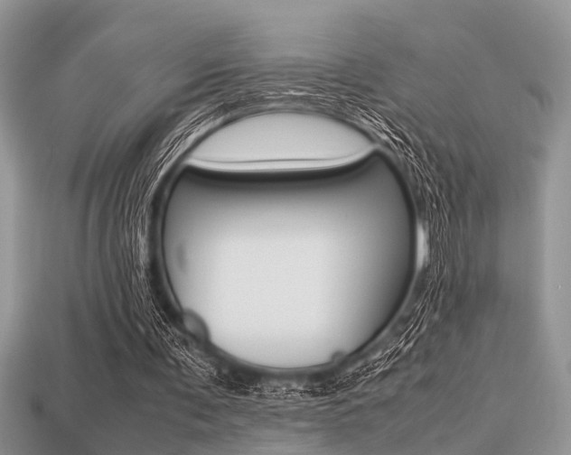 X0000113220291200909100928