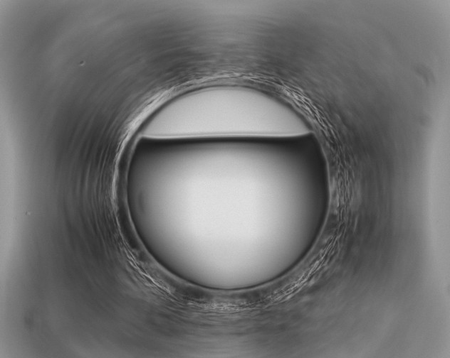 X0000113220292200909100928