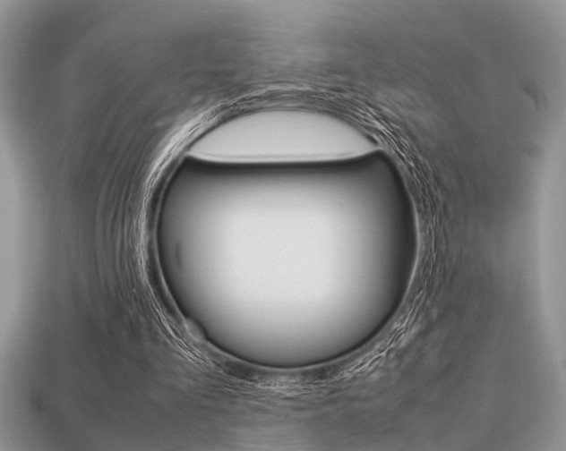 X0000113220293200909100928