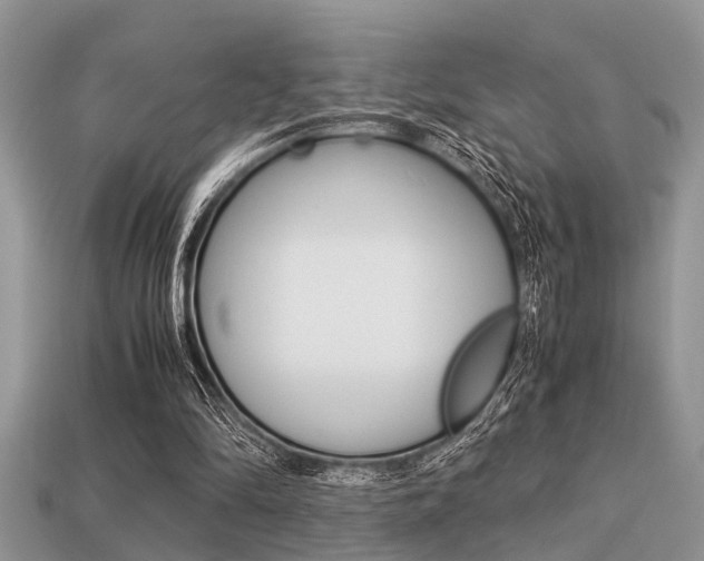 X0000113220294200909100928