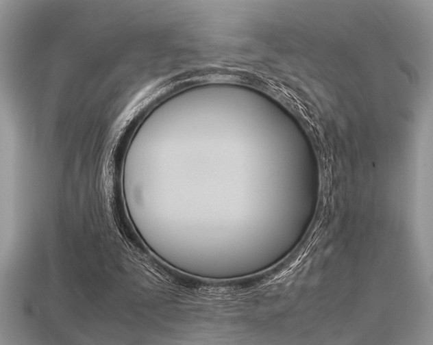X0000113220295200909100928