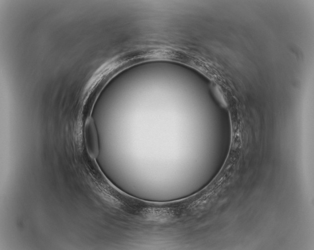 X0000113220296200909100928