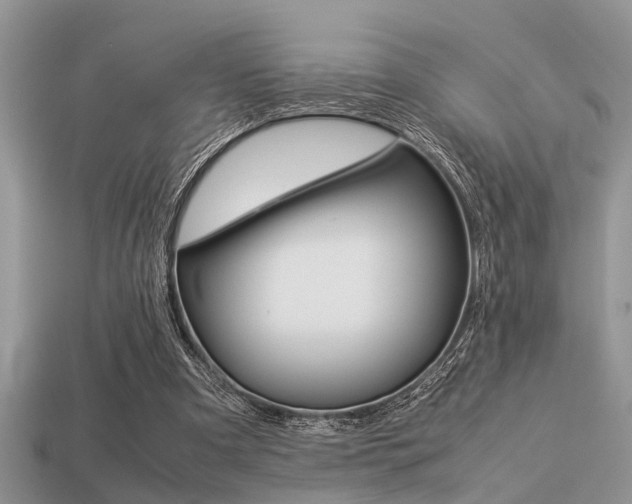 X0000113220297200909100928