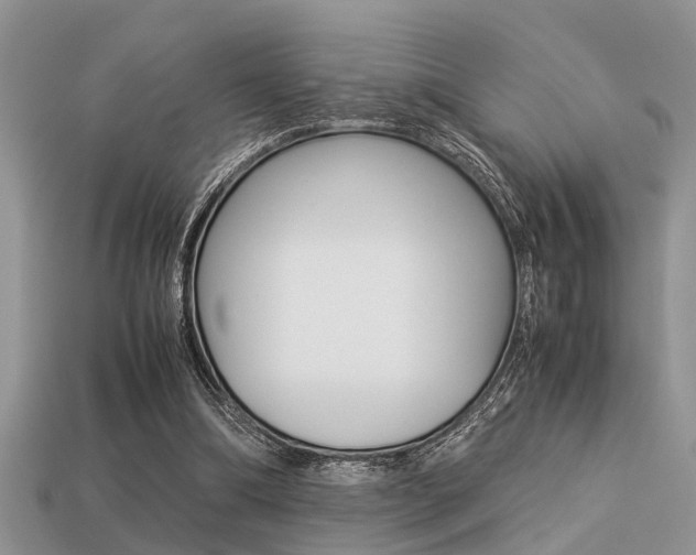 X0000113220298200909100928