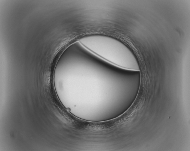 X0000113220299200909100928