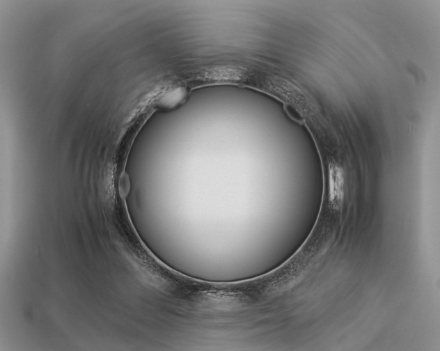 X0000113220300200909100928