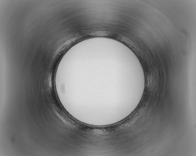 X0000113220302200909100928