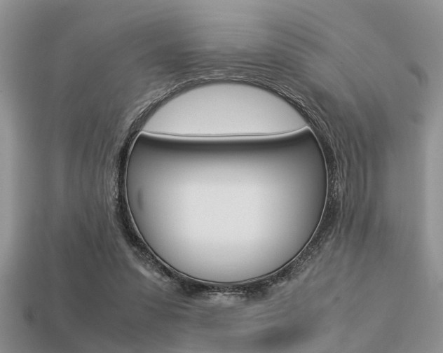 X0000113220303200909100928