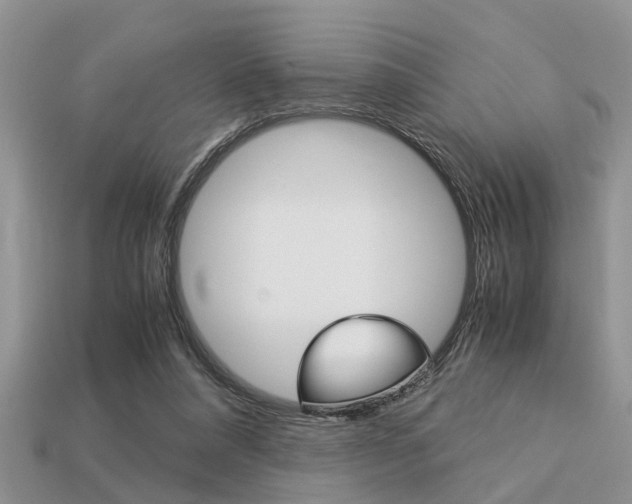 X0000113220304200909100928