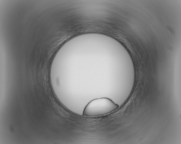 X0000113220305200909100928