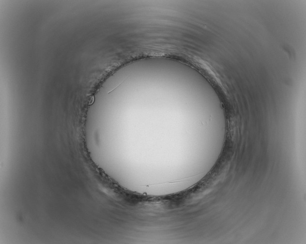 X0000113220307200909100928