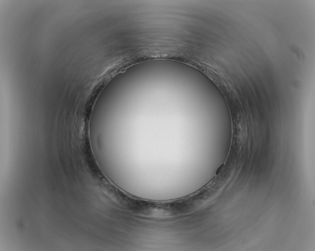 X0000113220308200909100928