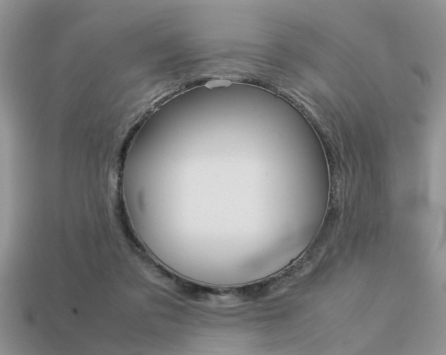 X0000113220309200909100928