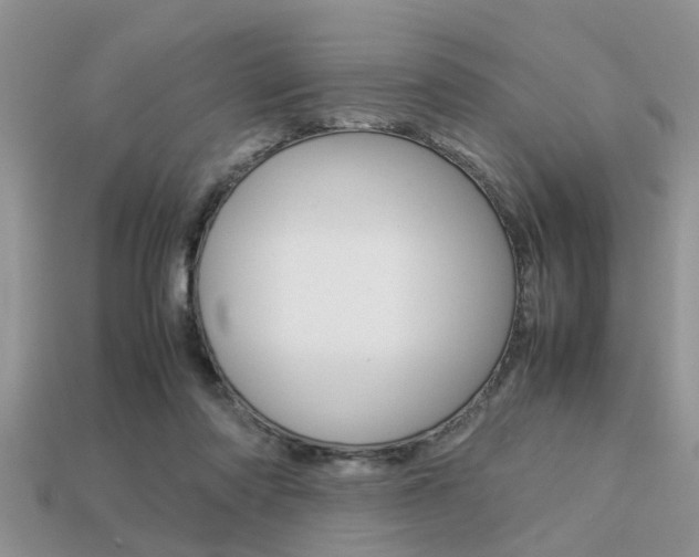 X0000113220310200909100928