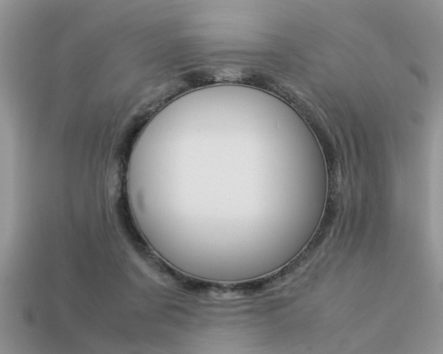 X0000113220311200909100928