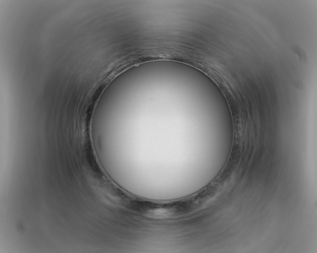 X0000113220312200909100928