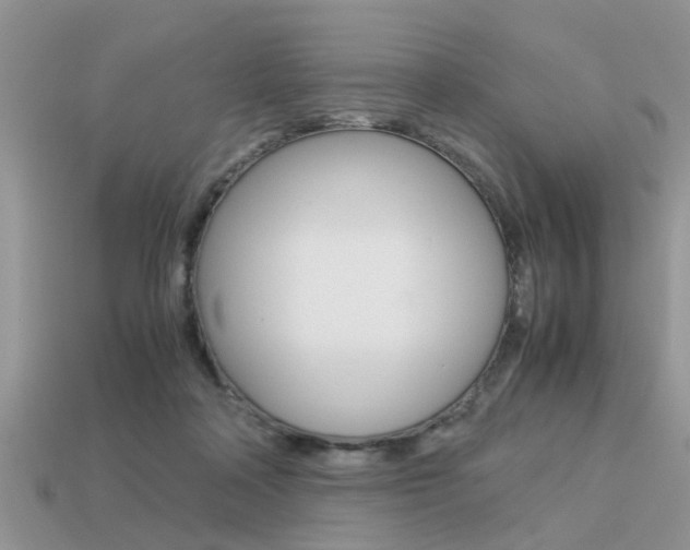 X0000113220314200909100928