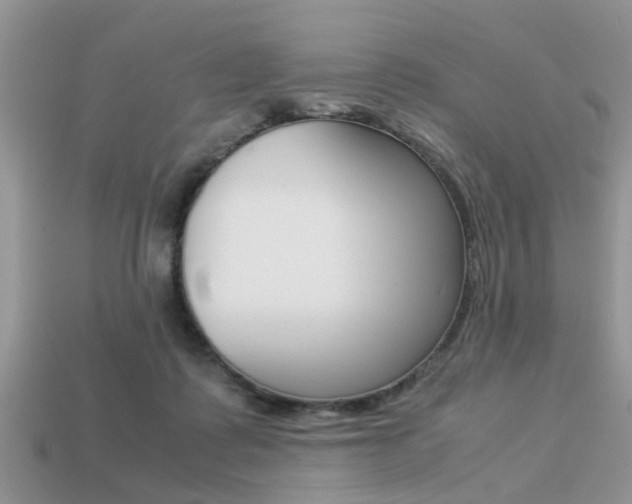 X0000113220315200909100928