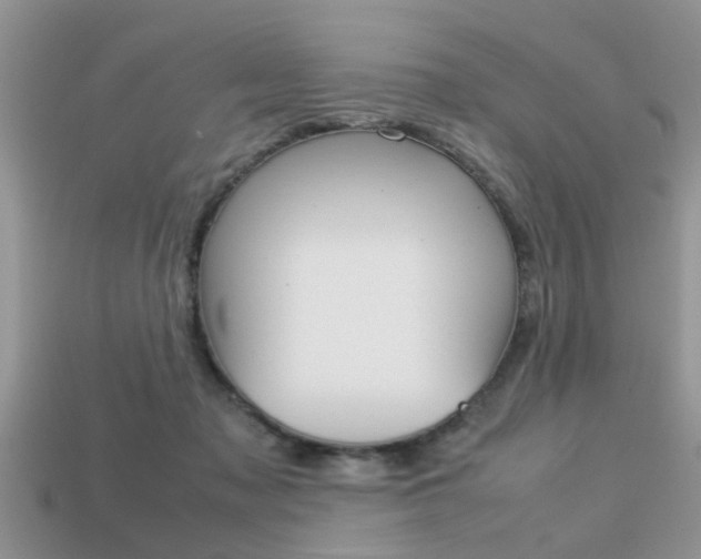 X0000113220317200909100928