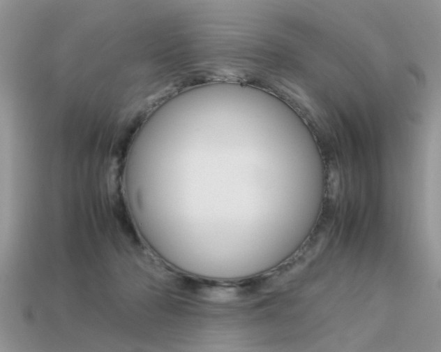X0000113220318200909100928