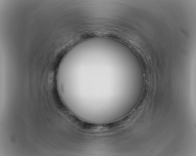 X0000113220319200909100928