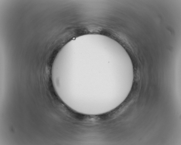 X0000113220321200909100928