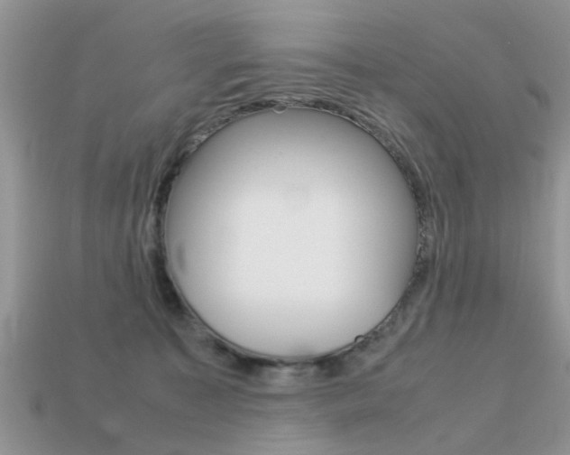 X0000113220323200909100928