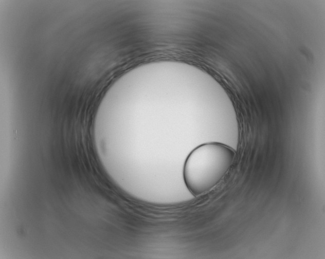 X0000113220324200909100928