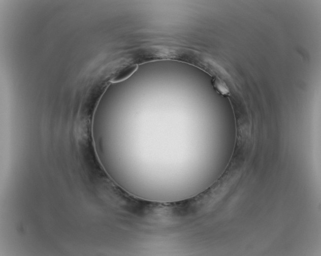 X0000113220325200909100928