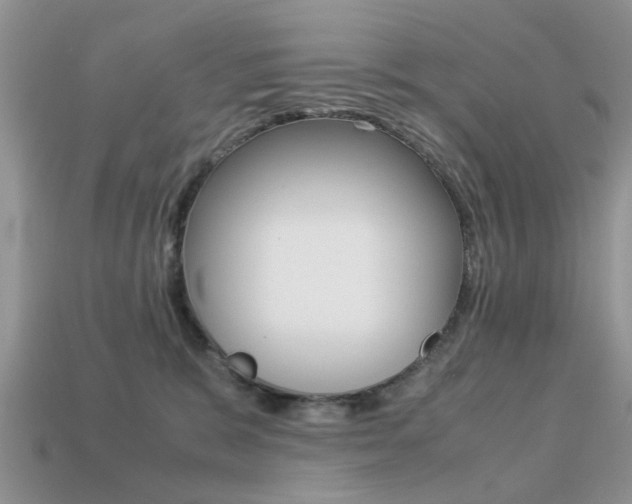 X0000113220327200909100928