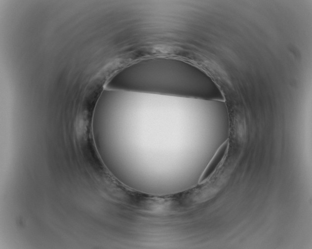 X0000113220328200909100928