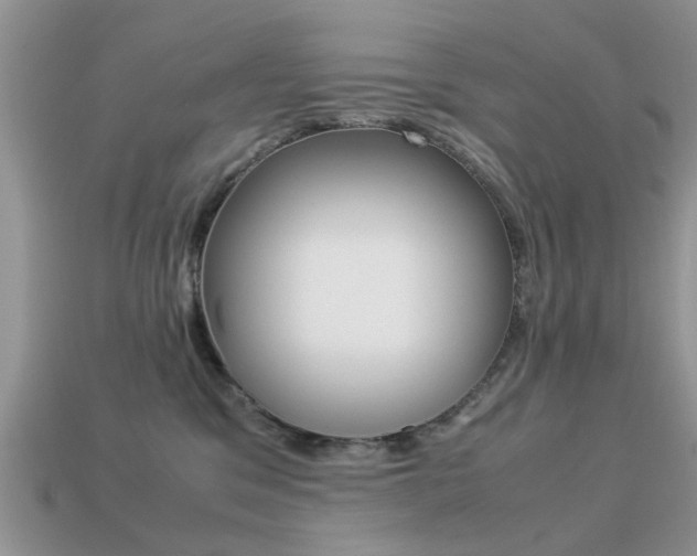 X0000113220329200909100928